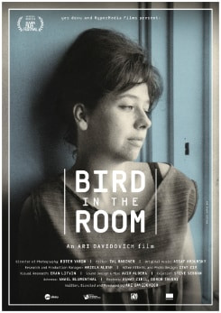 Bird in the Room