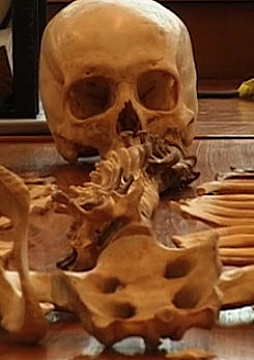 Watch Full Movie - Bodies of Evidence - The Sex of the Skeleton