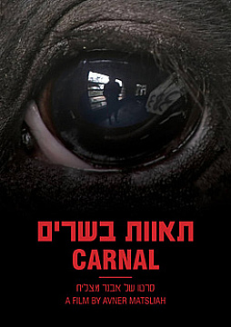 Watch Full Movie - Carnal