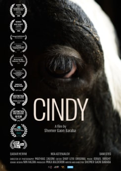 Watch Full Movie - Cindy - Watch Trailer