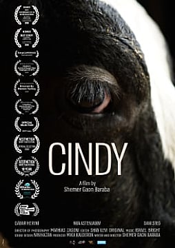 Watch Full Movie - Cindy