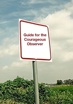 Guide for the Courageous Observer