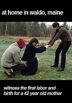 Watch Full Movie -  At Home In Waldo, Maine