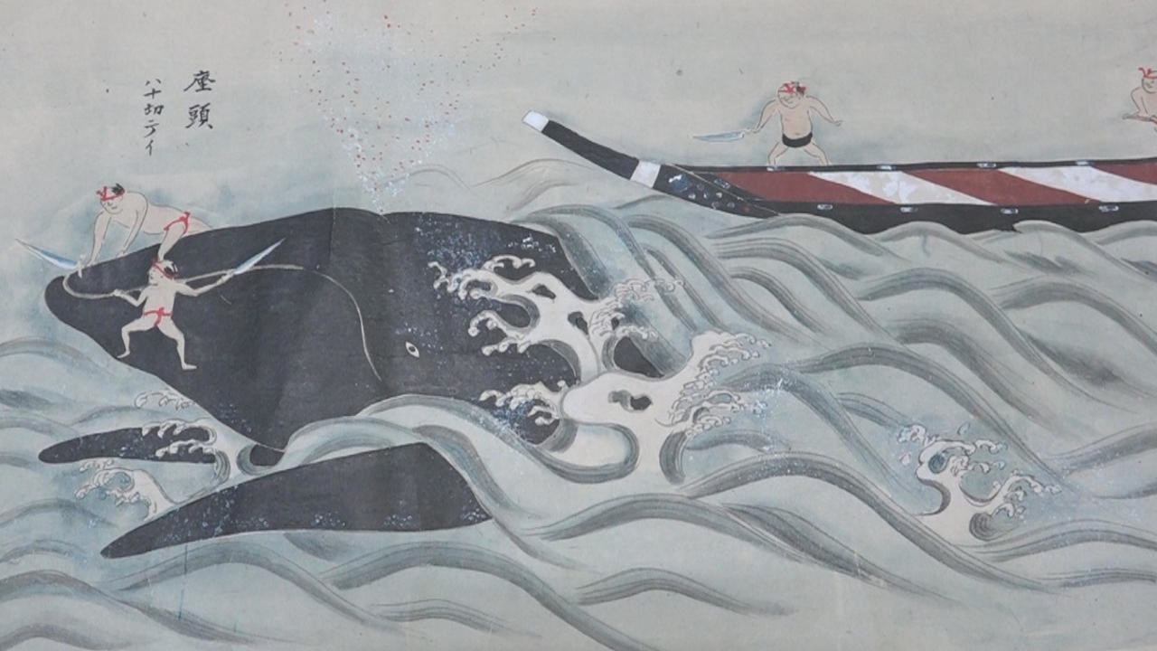 Watch Full Movie - Behind the Cove - Watch Trailer