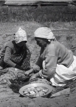 Missing Women And The Bachelor Time Bomb