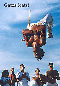 Watch Full Movie - Gatos (Cats)