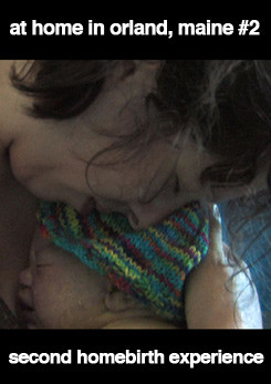 At Home in Orland, Maine