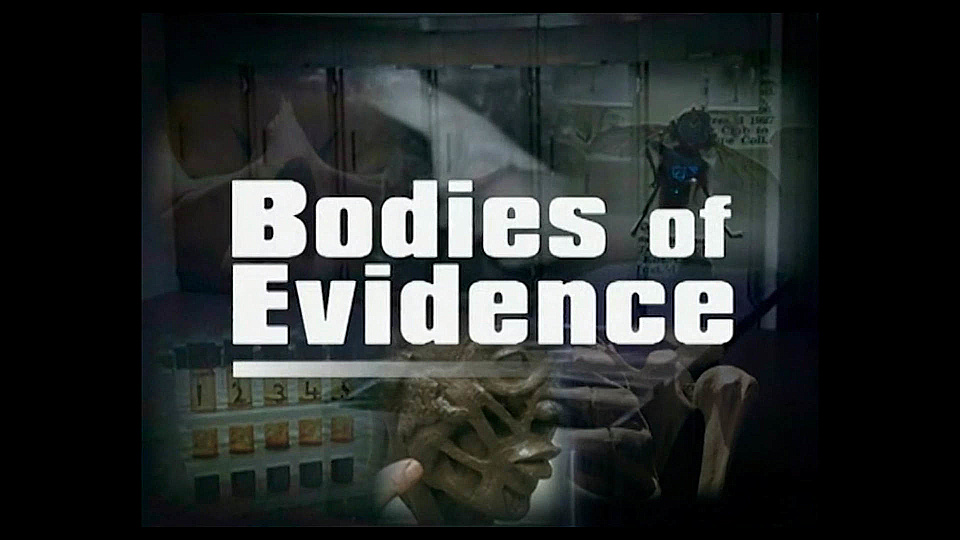 Watch Full Movie Bodies of Evidence - The Morphine Murderer - Watch Trailer