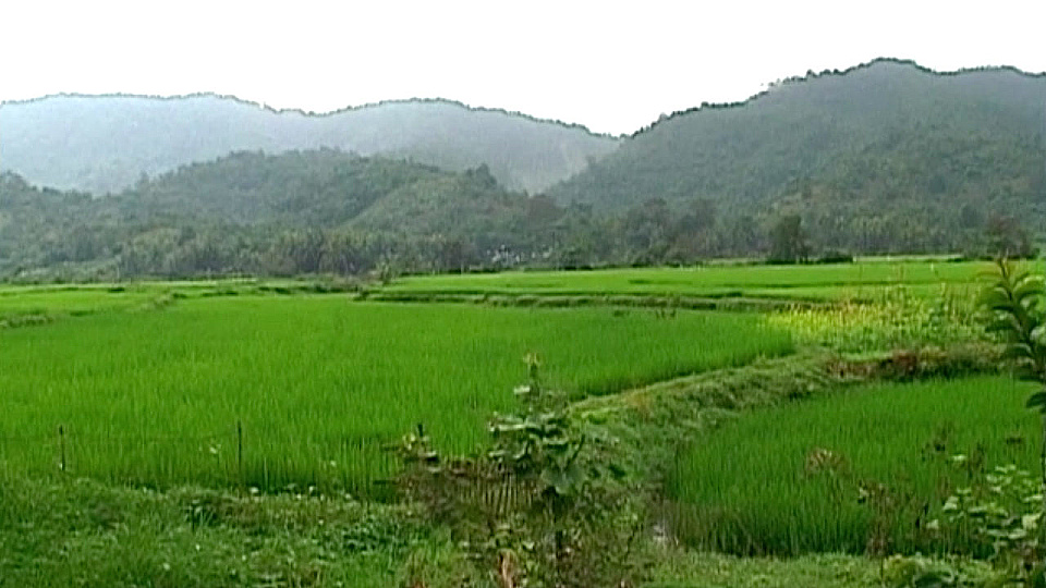 Watch Full Movie The Journey of Vaan Nguyen - Watch Trailer