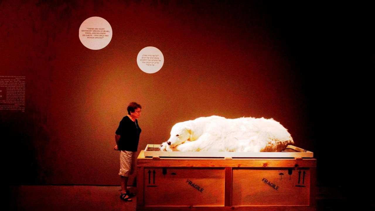 Watch Full Movie The Museum - Watch Trailer