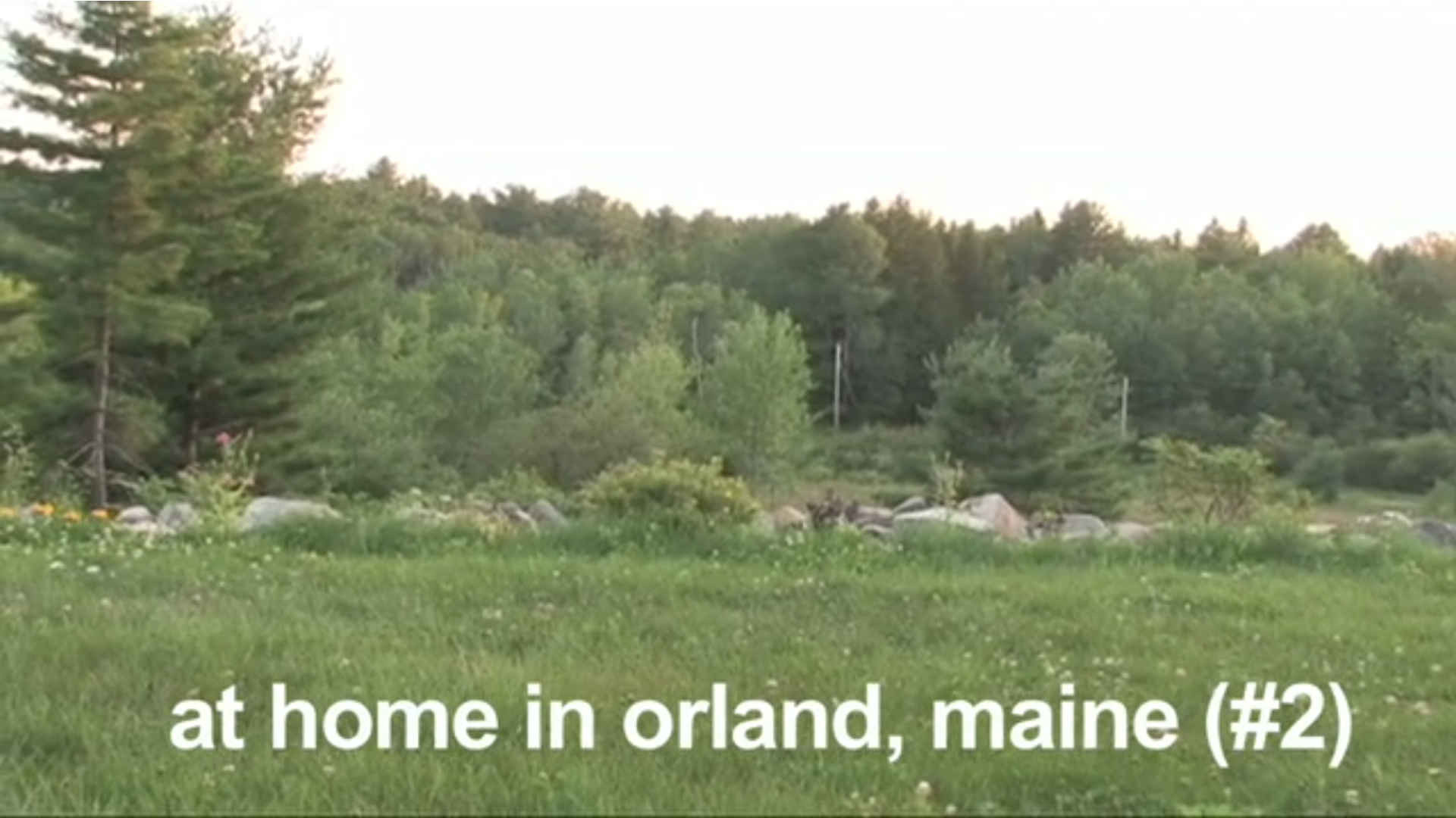 Watch Full Movie At Home in Orland, Maine - Watch Trailer