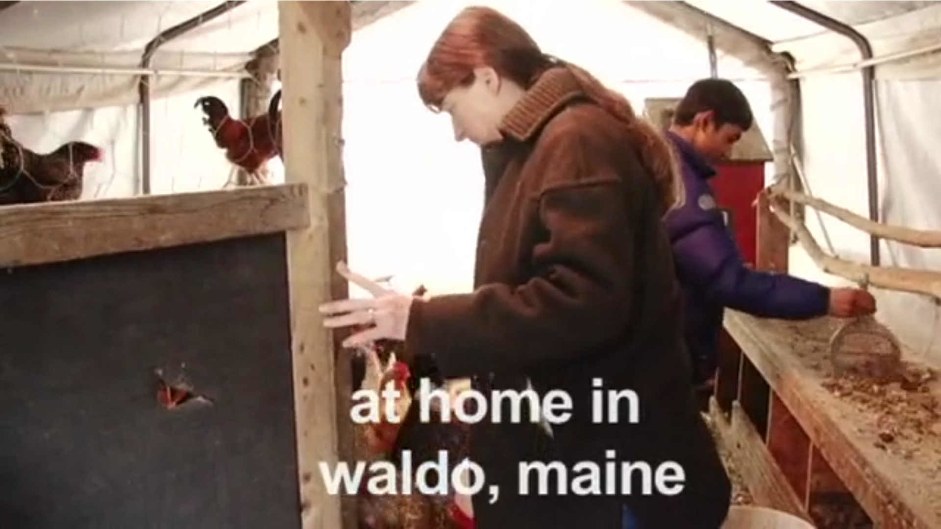 Watch Full Movie  At Home In Waldo, Maine - Watch Trailer