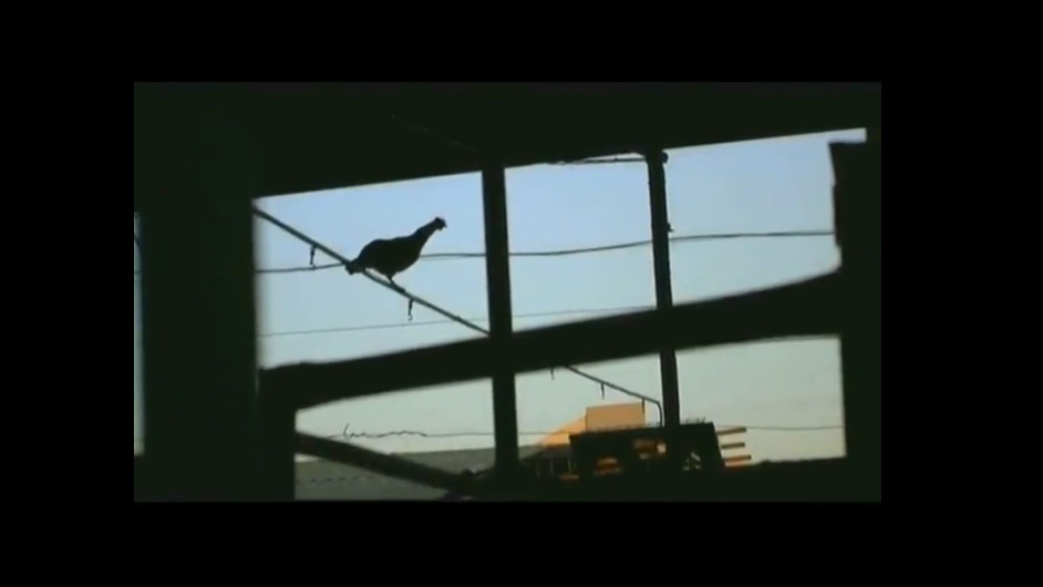 Watch Full Movie - Fat Cows Lean Cows - Watch Trailer