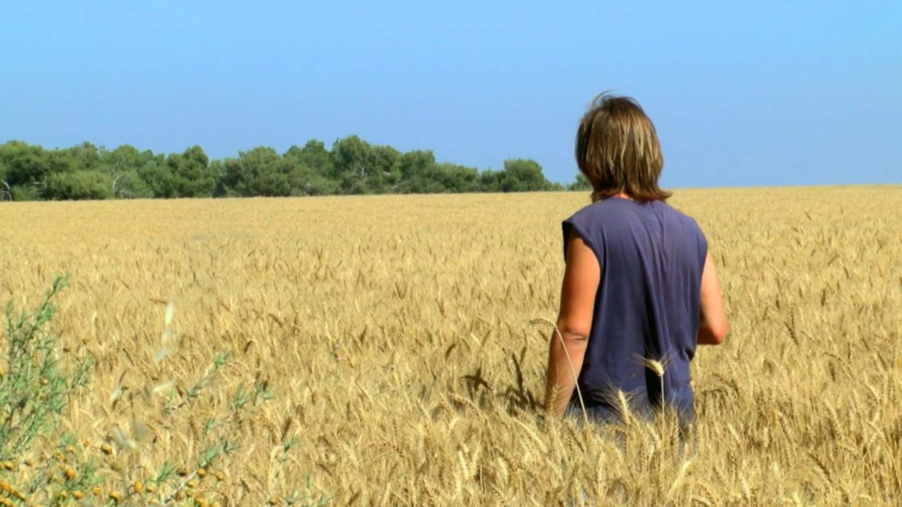 Watch Full Movie Shell - Watch Trailer